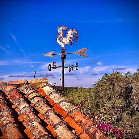 Spartaco Eco Retreat San Pantaleo Sole Ruiu Dış mekan fotoğraf