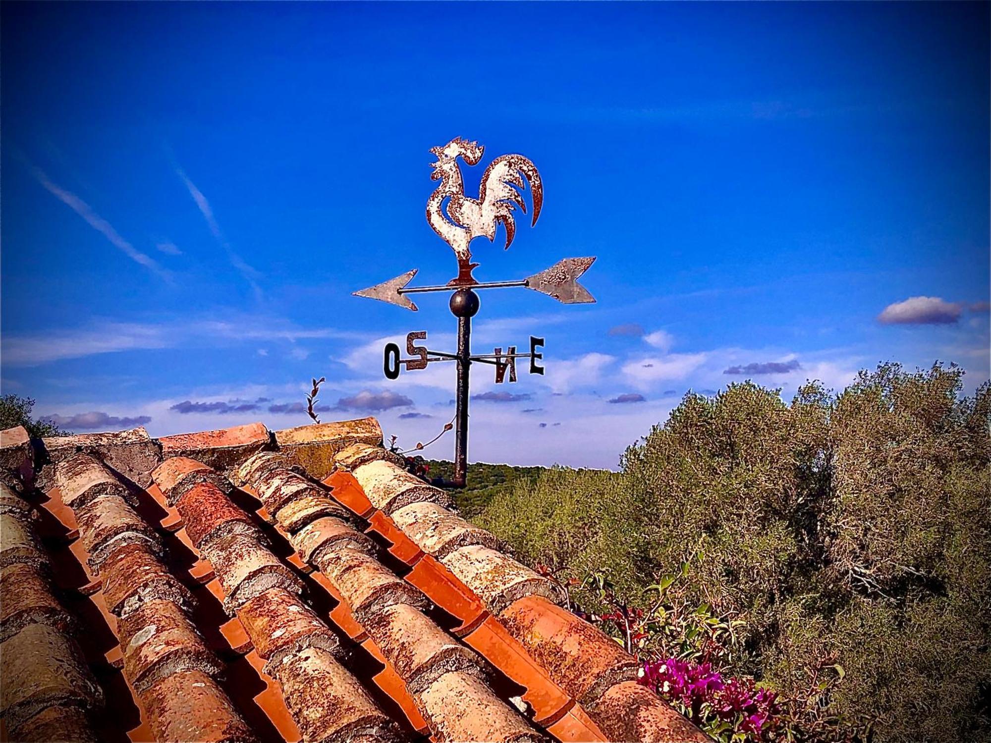 Spartaco Eco Retreat San Pantaleo Sole Ruiu Dış mekan fotoğraf