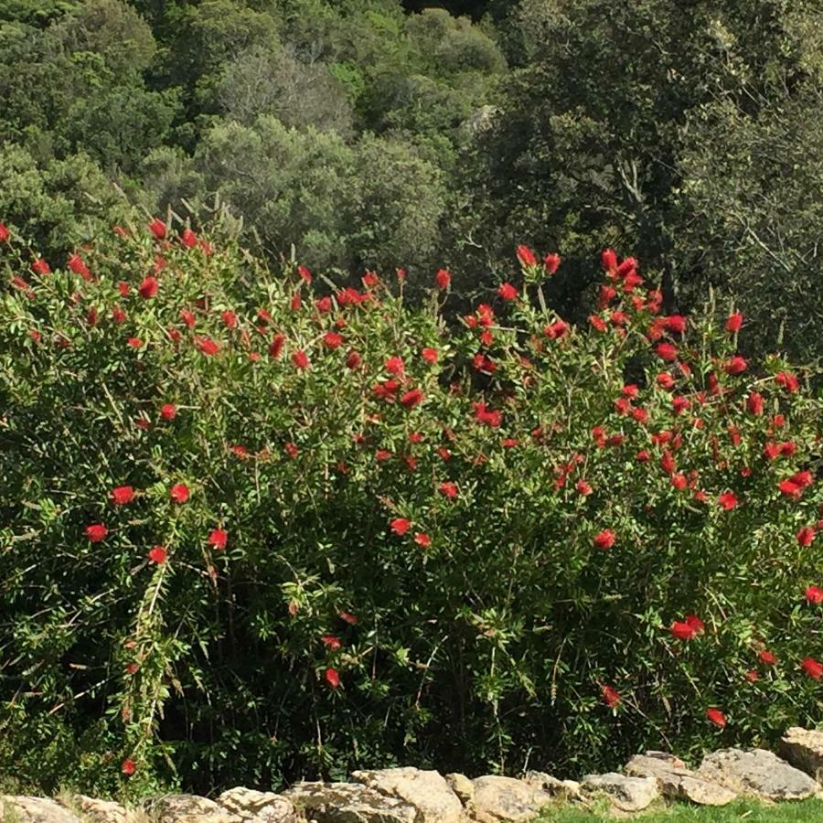 Spartaco Eco Retreat San Pantaleo Sole Ruiu Dış mekan fotoğraf