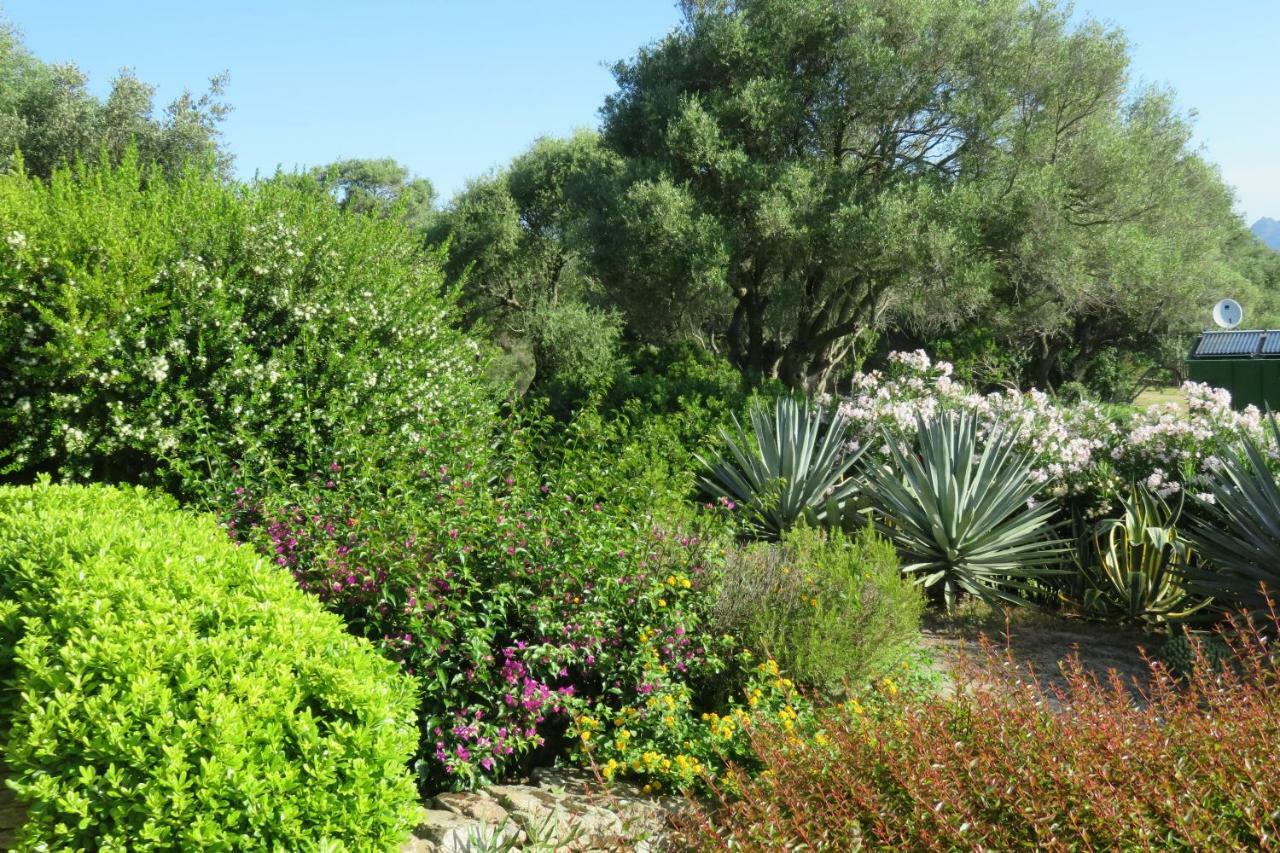 Spartaco Eco Retreat San Pantaleo Sole Ruiu Dış mekan fotoğraf