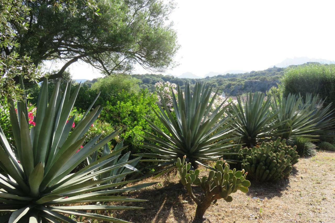 Spartaco Eco Retreat San Pantaleo Sole Ruiu Dış mekan fotoğraf